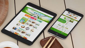 吉林大米手绘插画包装设计——中麒品牌设计在ZCOOL的创新呈现